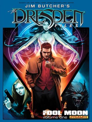 cover image of The Dresden Files (2008), Volume 4